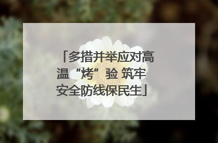 多措并举应对高温“烤”验 筑牢安全防线保民生