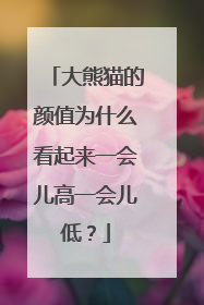 大熊猫的颜值为什么看起来一会儿高一会儿低？