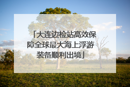 大连边检站高效保障全球最大海上浮游装备顺利出境
