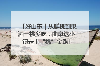 好山东｜从鲜桃到果酒一桃多吃，曲阜这小镇走上“桃”金路