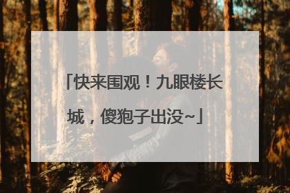 快来围观！九眼楼长城，傻狍子出没~