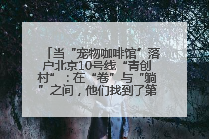 当“宠物咖啡馆”落户北京10号线“青创村”：在“卷”与“躺”之间，他们找到了第三种生活公式