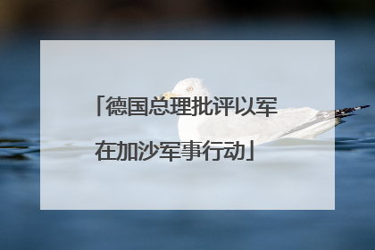 德国总理批评以军在加沙军事行动