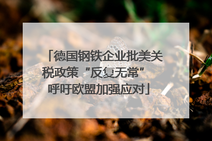 德国钢铁企业批美关税政策“反复无常” 呼吁欧盟加强应对