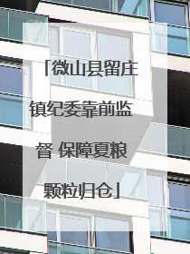 微山县留庄镇纪委靠前监督 保障夏粮颗粒归仓