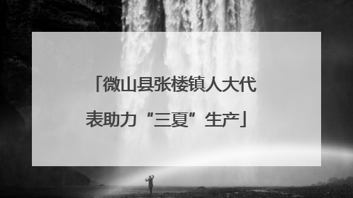 微山县张楼镇人大代表助力“三夏”生产
