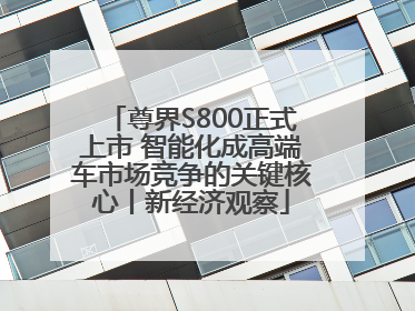尊界S800正式上市 智能化成高端车市场竞争的关键核心丨新经济观察
