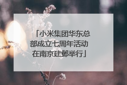 小米集团华东总部成立七周年活动在南京建邺举行
