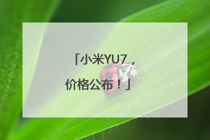 小米YU7，价格公布！
