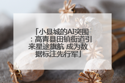 小县城的AI突围：高青县田镇街道引来星途旗航 成为数据标注先行军