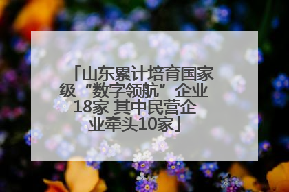 山东累计培育国家级“数字领航”企业18家 其中民营企业牵头10家