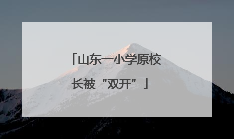 山东一小学原校长被“双开”