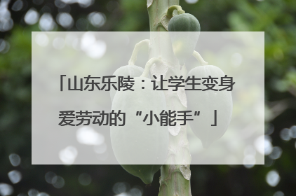 山东乐陵：让学生变身爱劳动的“小能手”