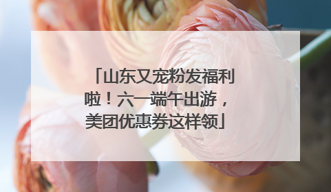 山东又宠粉发福利啦！六一端午出游，美团优惠券这样领