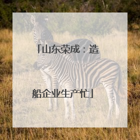 山东荣成：造船企业生产忙