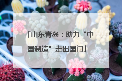 山东青岛：助力“中国制造”走出国门