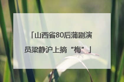 山西省80后蒲剧演员梁静沪上摘“梅”