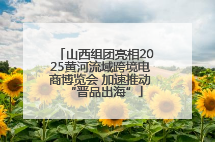 山西组团亮相2025黄河流域跨境电商博览会 加速推动“晋品出海”