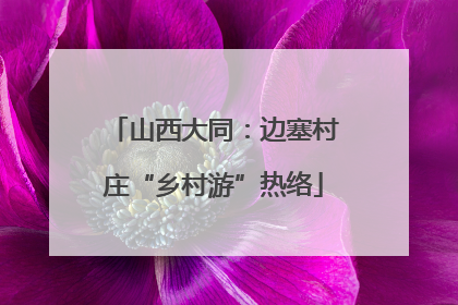 山西大同：边塞村庄“乡村游”热络