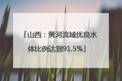 山西：黄河流域优良水体比例达到91.5%