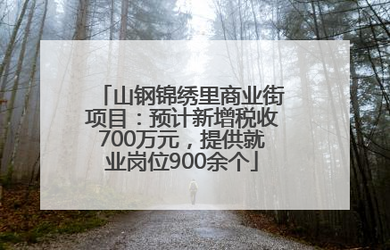 山钢锦绣里商业街项目：预计新增税收700万元，提供就业岗位900余个