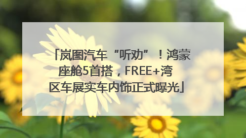 岚图汽车“听劝”！鸿蒙座舱5首搭，FREE+湾区车展实车内饰正式曝光