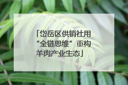 岱岳区供销社用“全链思维”重构羊肉产业生态