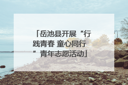 岳池县开展“行践青春 童心同行”青年志愿活动