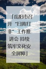 岳阳市召开“扫黄打非”工作推进会 持续筑牢文化安全屏障