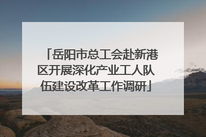 岳阳市总工会赴新港区开展深化产业工人队伍建设改革工作调研
