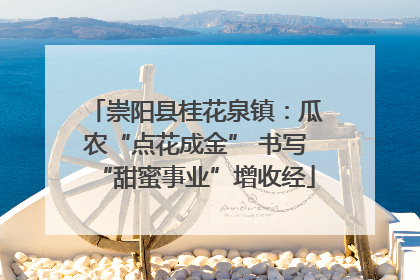 崇阳县桂花泉镇：瓜农“点花成金” 书写“甜蜜事业”增收经
