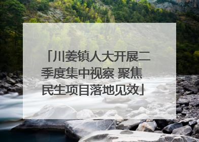 川姜镇人大开展二季度集中视察 聚焦民生项目落地见效