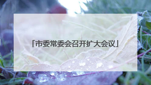 市委常委会召开扩大会议