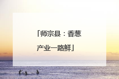 师宗县：香葱产业一路鲜
