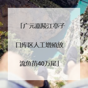 广元嘉陵江亭子口库区人工增殖放流鱼苗40万尾