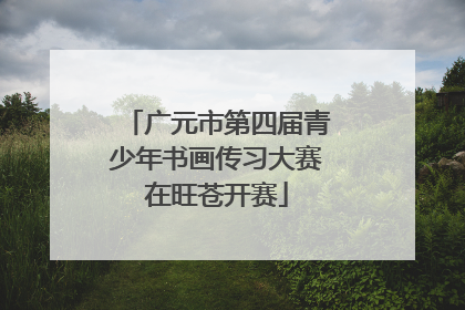 广元市第四届青少年书画传习大赛在旺苍开赛