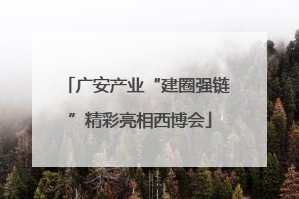 广安产业“建圈强链”精彩亮相西博会