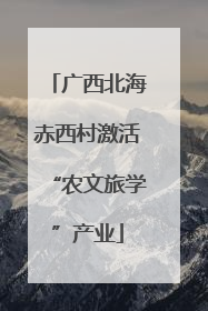 广西北海赤西村激活“农文旅学”产业
