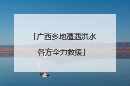 广西多地遭遇洪水 各方全力救援