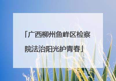 广西柳州鱼峰区检察院法治阳光护青春
