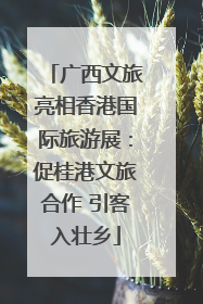 广西文旅亮相香港国际旅游展：促桂港文旅合作 引客入壮乡
