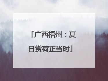广西梧州：夏日赏荷正当时