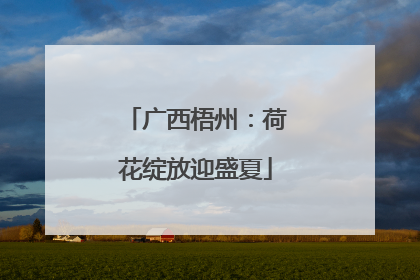 广西梧州：荷花绽放迎盛夏