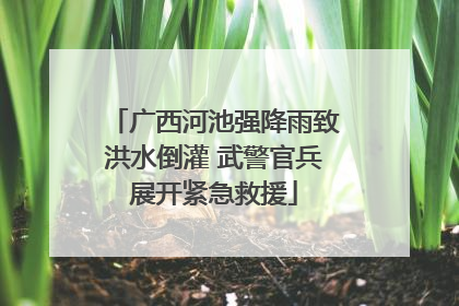 广西河池强降雨致洪水倒灌 武警官兵展开紧急救援