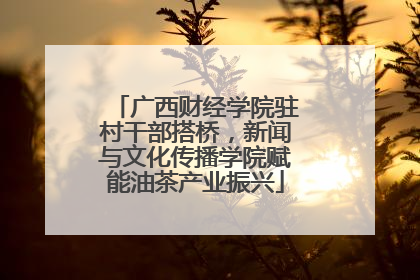 广西财经学院驻村干部搭桥，新闻与文化传播学院赋能油茶产业振兴