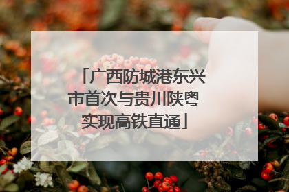 广西防城港东兴市首次与贵川陕粤实现高铁直通