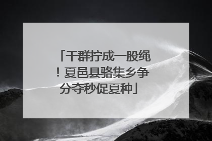 干群拧成一股绳！夏邑县骆集乡争分夺秒促夏种