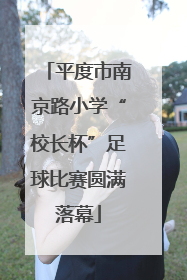 平度市南京路小学“校长杯”足球比赛圆满落幕