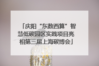 庆阳“东数西算”智慧低碳园区实践项目亮相第三届上海碳博会