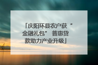 庆阳环县农户获“金融礼包” 普惠贷款助力产业升级